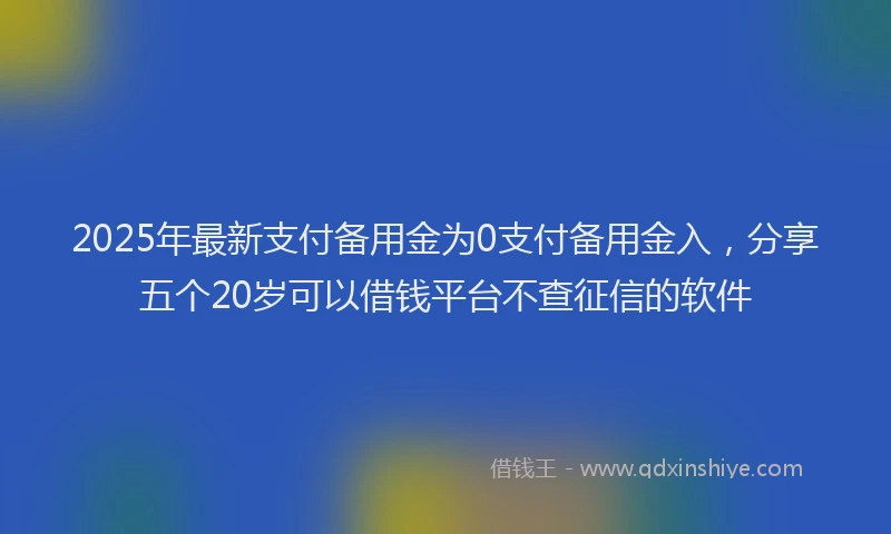 2025年最新支付备用金为0支付备用金入，分享五个20岁可以借钱平台不查征信的软件
