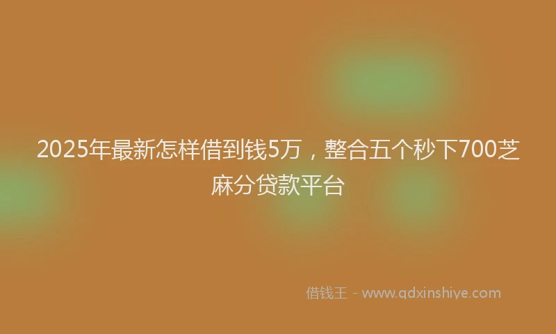 2025年最新怎样借到钱5万，整合五个秒下700芝麻分贷款平台