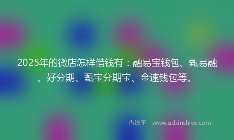 2025年的微店怎样借钱有：融易宝钱包、甄易融、好分期、甄宝分期宝、金速钱包等。