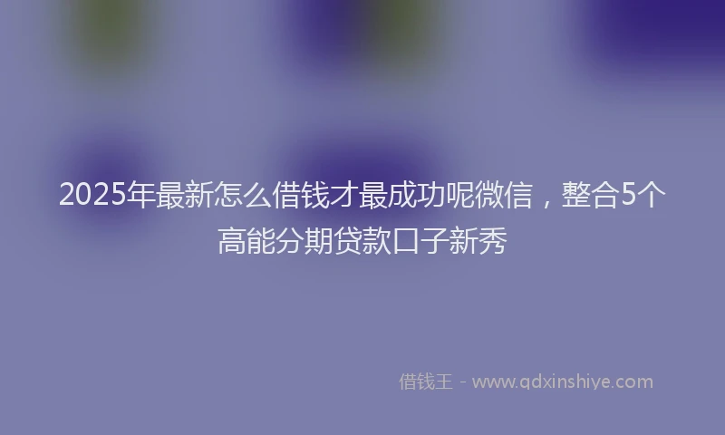 2025年最新怎么借钱才最成功呢微信，整合5个高能分期贷款口子新秀