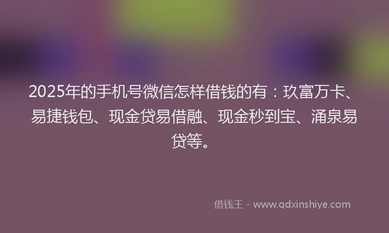 2025年的手机号微信怎样借钱的有：玖富万卡、易捷钱包、现金贷易借融、现金秒到宝、涌泉易贷等。