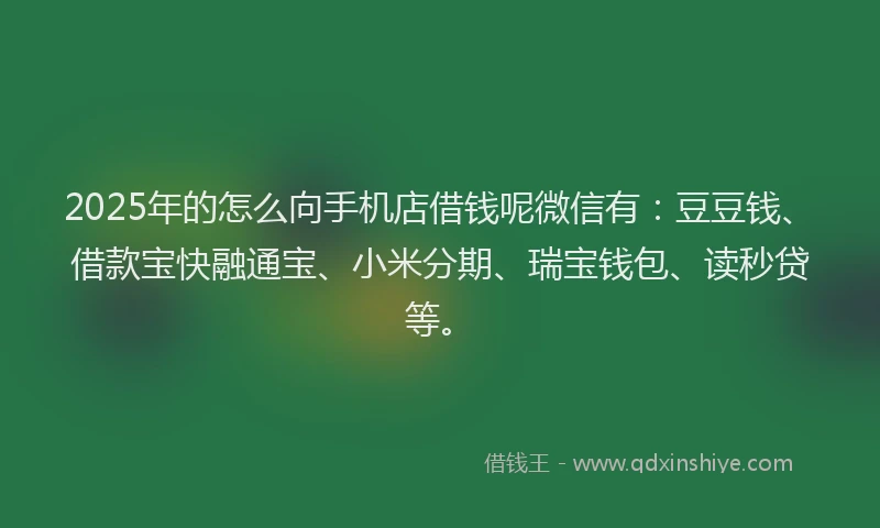 2025年的怎么向手机店借钱呢微信有：豆豆钱、借款宝快融通宝、小米分期、瑞宝钱包、读秒贷等。