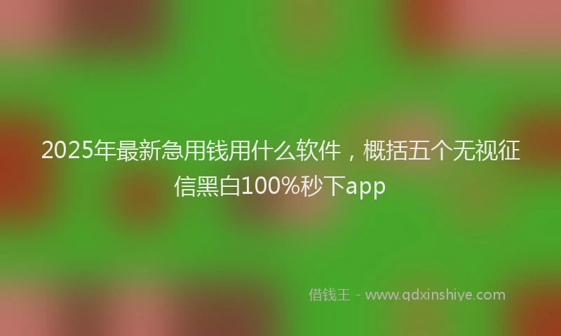 2025年最新急用钱用什么软件，概括五个无视征信黑白100%秒下app