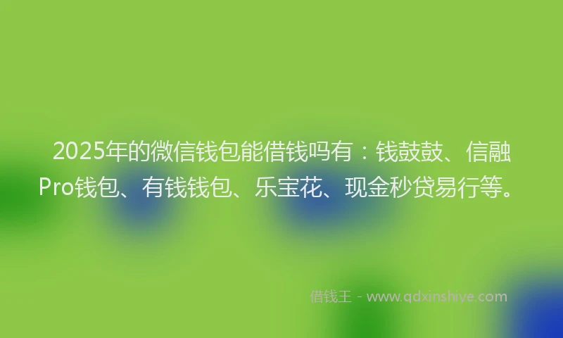 2025年的微信钱包能借钱吗有：钱鼓鼓、信融Pro钱包、有钱钱包、乐宝花、现金秒贷易行等。