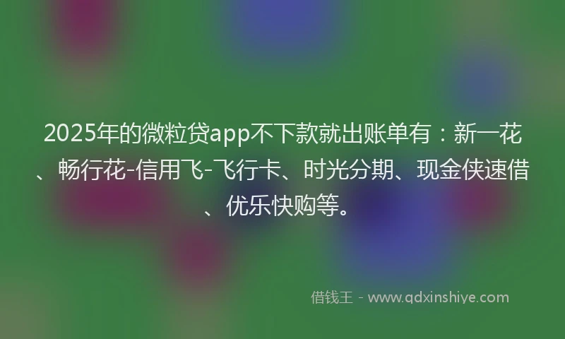 2025年的微粒贷app不下款就出账单有：新一花、畅行花-信用飞-飞行卡、时光分期、现金侠速借、优乐快购等。