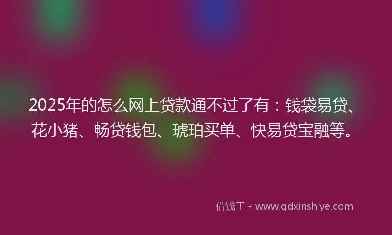 2025年的怎么网上贷款通不过了有：钱袋易贷、花小猪、畅贷钱包、琥珀买单、快易贷宝融等。