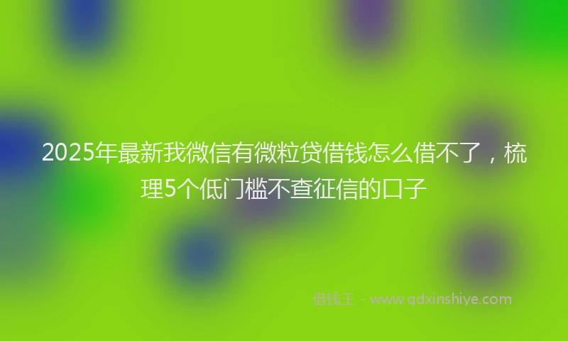2025年最新我微信有微粒贷借钱怎么借不了，梳理5个低门槛不查征信的口子