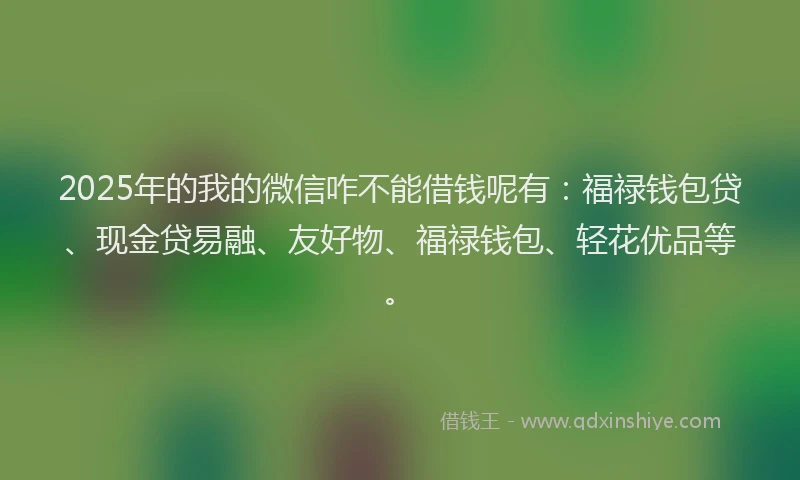 2025年的我的微信咋不能借钱呢有：福禄钱包贷、现金贷易融、友好物、福禄钱包、轻花优品等。