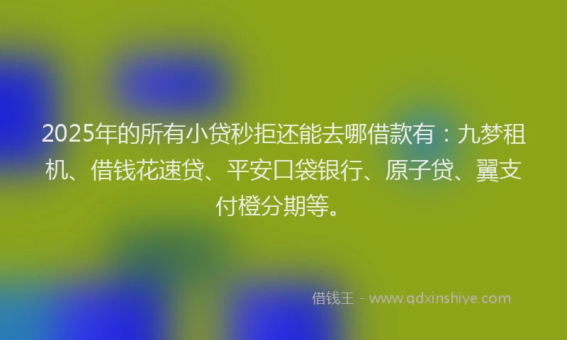 2025年的所有小贷秒拒还能去哪借款有：九梦租机、借钱花速贷、平安口袋银行、原子贷、翼支付橙分期等。