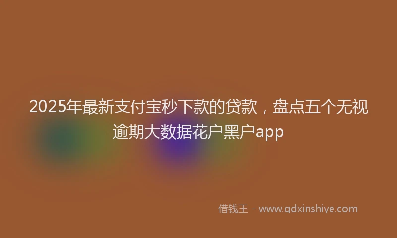 2025年最新支付宝秒下款的贷款，盘点五个无视逾期大数据花户黑户app
