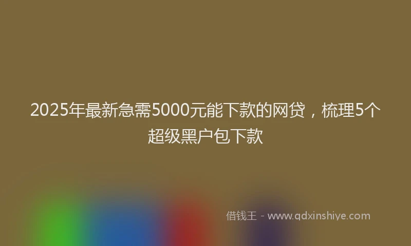 2025年最新急需5000元能下款的网贷，梳理5个超级黑户包下款