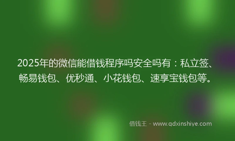 2025年的微信能借钱程序吗安全吗有：私立签、畅易钱包、优秒通、小花钱包、速享宝钱包等。