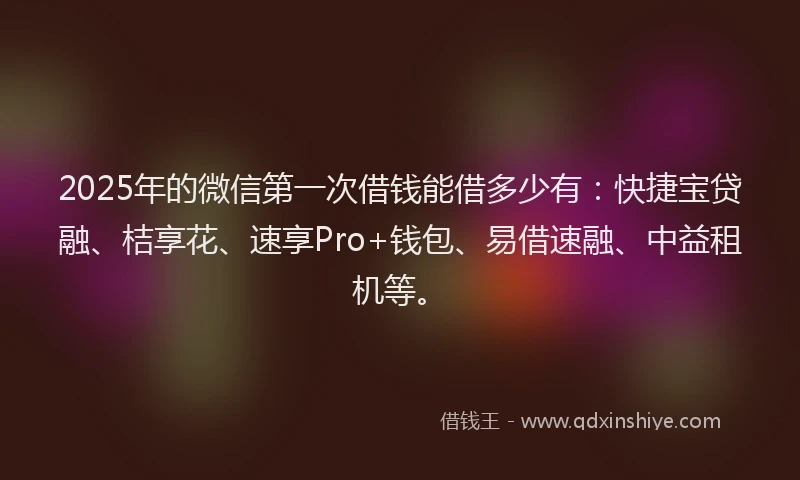 2025年的微信第一次借钱能借多少有：快捷宝贷融、桔享花、速享Pro+钱包、易借速融、中益租机等。