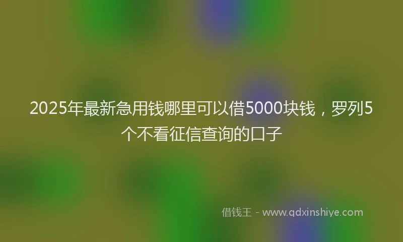 2025年最新急用钱哪里可以借5000块钱，罗列5个不看征信查询的口子