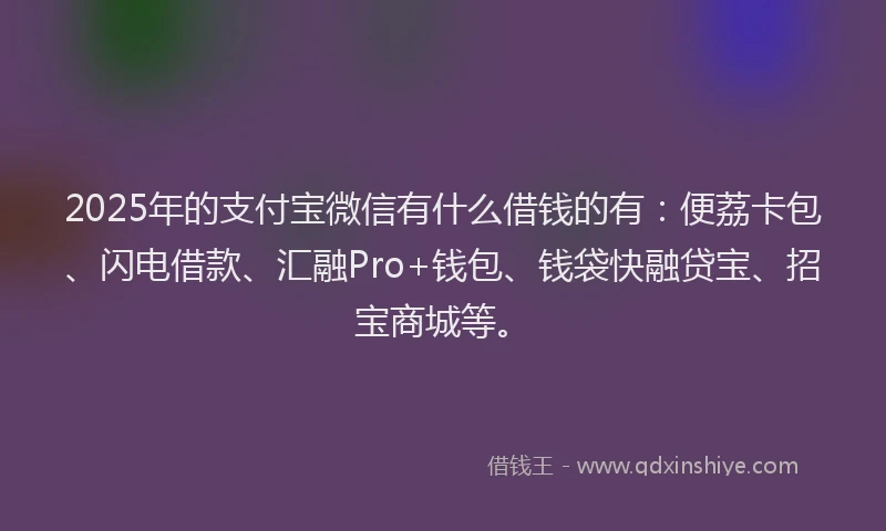 2025年的支付宝微信有什么借钱的有：便荔卡包、闪电借款、汇融Pro+钱包、钱袋快融贷宝、招宝商城等。
