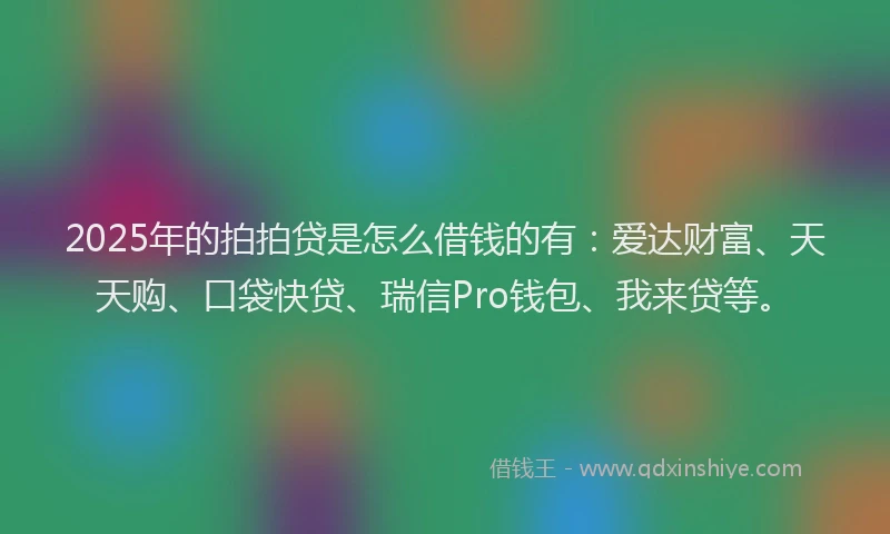 2025年的拍拍贷是怎么借钱的有：爱达财富、天天购、口袋快贷、瑞信Pro钱包、我来贷等。