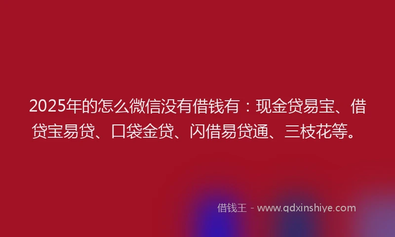 2025年的怎么微信没有借钱有：现金贷易宝、借贷宝易贷、口袋金贷、闪借易贷通、三枝花等。