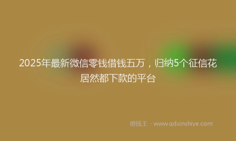 2025年最新微信零钱借钱五万，归纳5个征信花居然都下款的平台