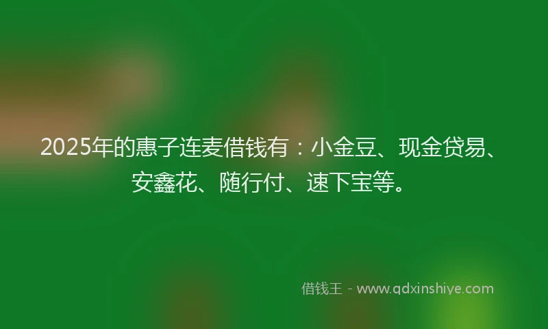 2025年的惠子连麦借钱有：小金豆、现金贷易、安鑫花、随行付、速下宝等。