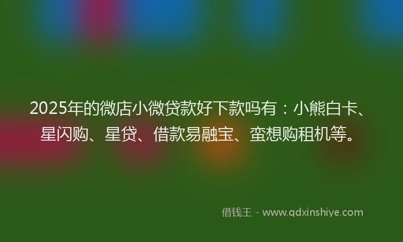2025年的微店小微贷款好下款吗有：小熊白卡、星闪购、星贷、借款易融宝、蛮想购租机等。