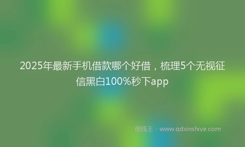 2025年最新手机借款哪个好借，梳理5个无视征信黑白100%秒下app