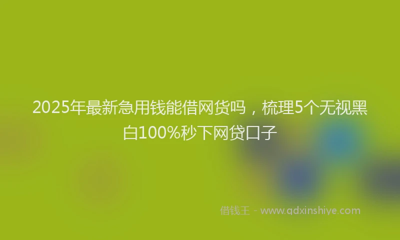 2025年最新急用钱能借网货吗，梳理5个无视黑白100%秒下网贷口子