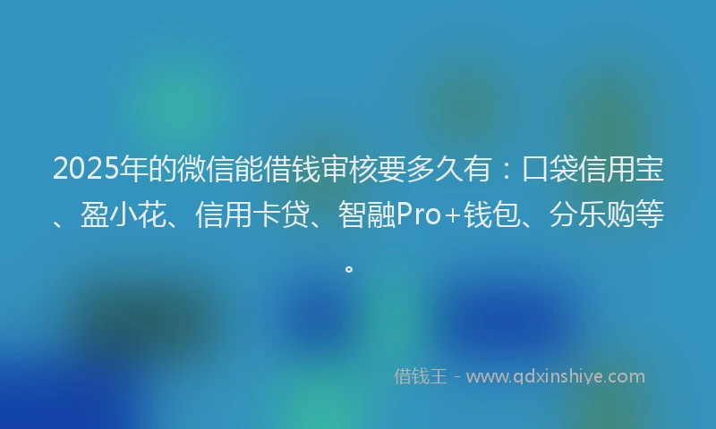2025年的微信能借钱审核要多久有：口袋信用宝、盈小花、信用卡贷、智融Pro+钱包、分乐购等。