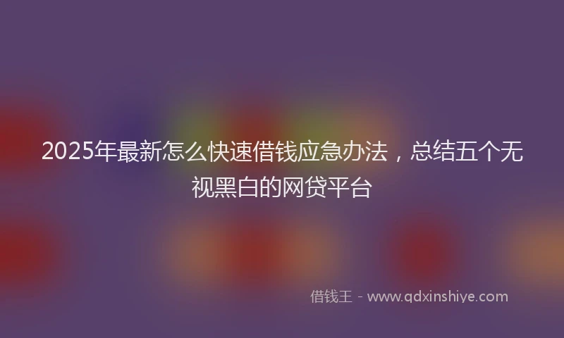 2025年最新怎么快速借钱应急办法，总结五个无视黑白的网贷平台