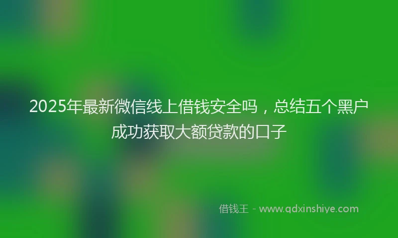 2025年最新微信线上借钱安全吗，总结五个黑户成功获取大额贷款的口子