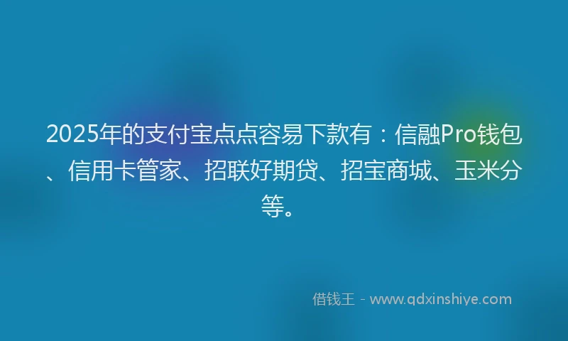 2025年的支付宝点点容易下款有：信融Pro钱包、信用卡管家、招联好期贷、招宝商城、玉米分等。