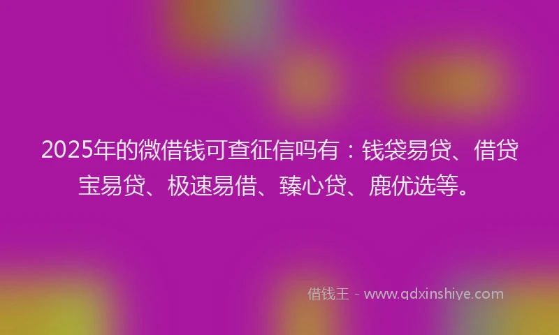 2025年的微借钱可查征信吗有：钱袋易贷、借贷宝易贷、极速易借、臻心贷、鹿优选等。