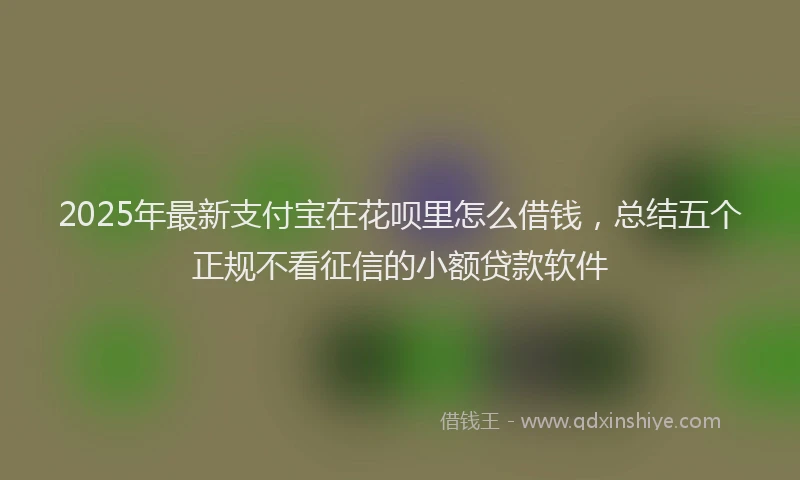 2025年最新支付宝在花呗里怎么借钱，总结五个正规不看征信的小额贷款软件