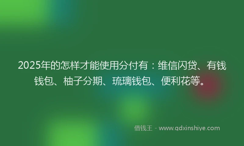 2025年的怎样才能使用分付有：维信闪贷、有钱钱包、柚子分期、琉璃钱包、便利花等。