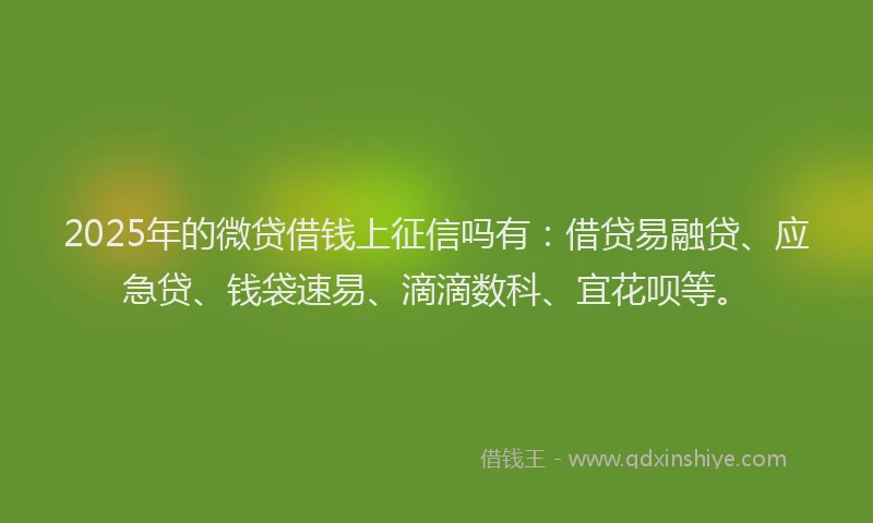 2025年的微贷借钱上征信吗有：借贷易融贷、应急贷、钱袋速易、滴滴数科、宜花呗等。