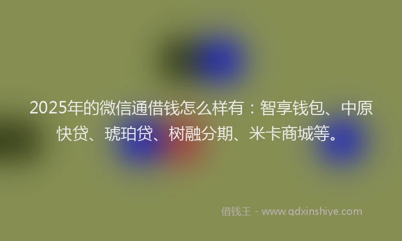2025年的微信通借钱怎么样有：智享钱包、中原快贷、琥珀贷、树融分期、米卡商城等。