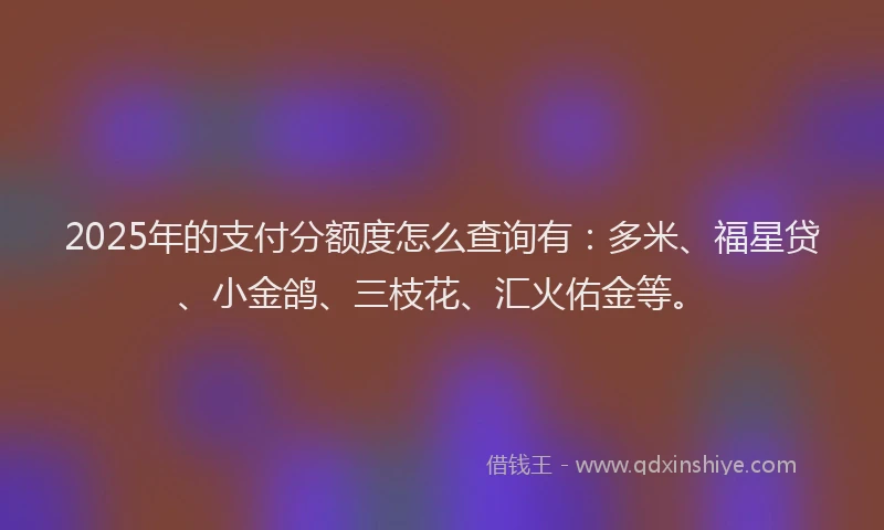 2025年的支付分额度怎么查询有：多米、福星贷、小金鸽、三枝花、汇火佑金等。