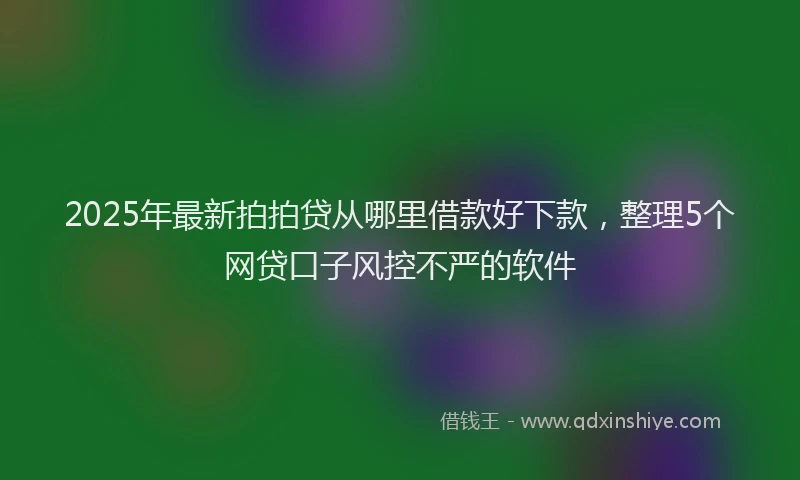 2025年最新拍拍贷从哪里借款好下款，整理5个网贷口子风控不严的软件