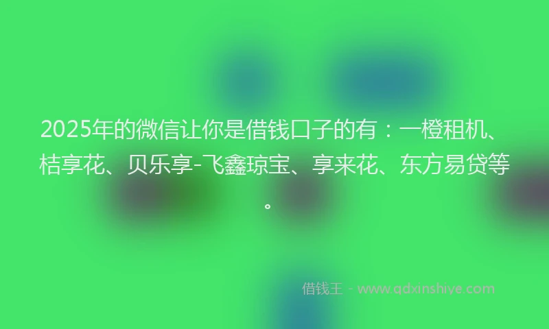 2025年的微信让你是借钱口子的有：一橙租机、桔享花、贝乐享-飞鑫琼宝、享来花、东方易贷等。