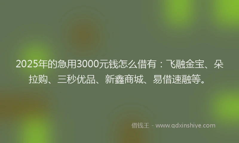 2025年的急用3000元钱怎么借有：飞融金宝、朵拉购、三秒优品、新鑫商城、易借速融等。
