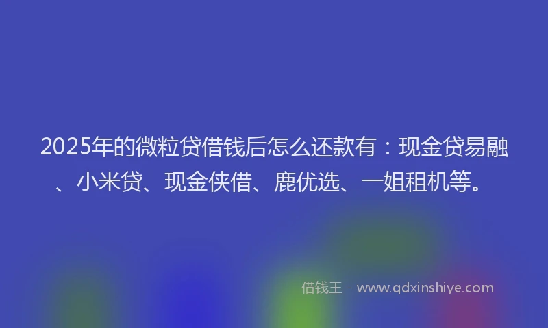 2025年的微粒贷借钱后怎么还款有：现金贷易融、小米贷、现金侠借、鹿优选、一姐租机等。