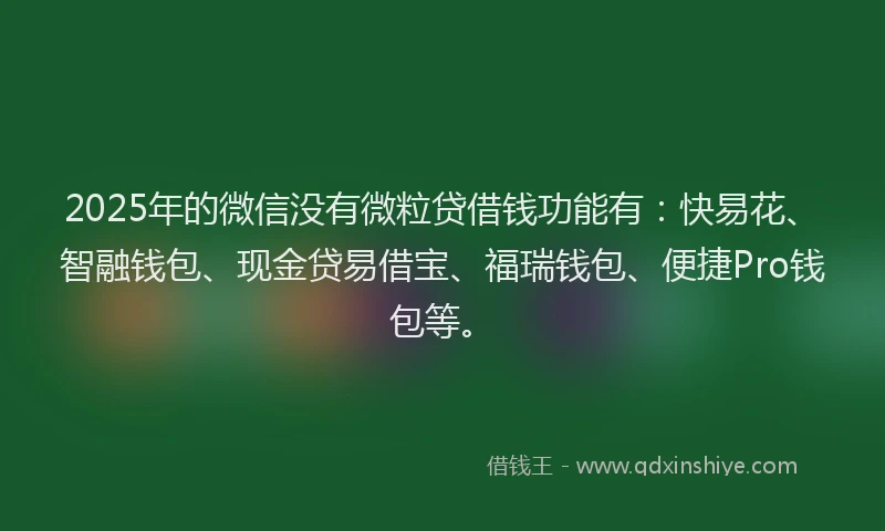 2025年的微信没有微粒贷借钱功能有：快易花、智融钱包、现金贷易借宝、福瑞钱包、便捷Pro钱包等。