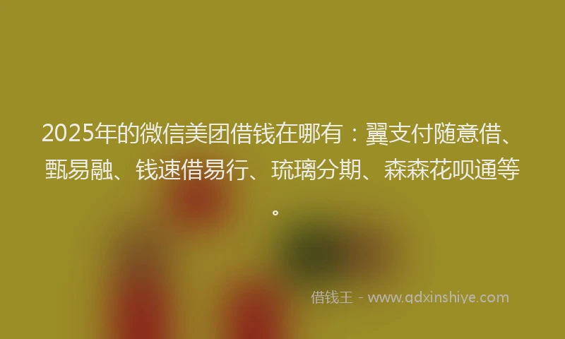 2025年的微信美团借钱在哪有：翼支付随意借、甄易融、钱速借易行、琉璃分期、森森花呗通等。