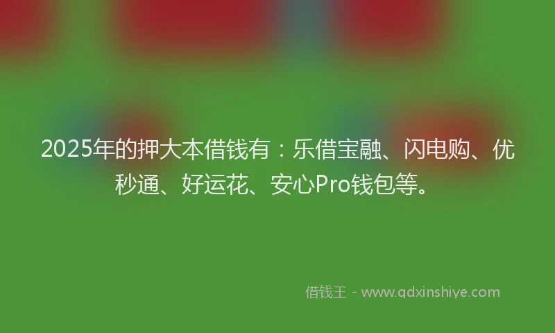 2025年的押大本借钱有：乐借宝融、闪电购、优秒通、好运花、安心Pro钱包等。
