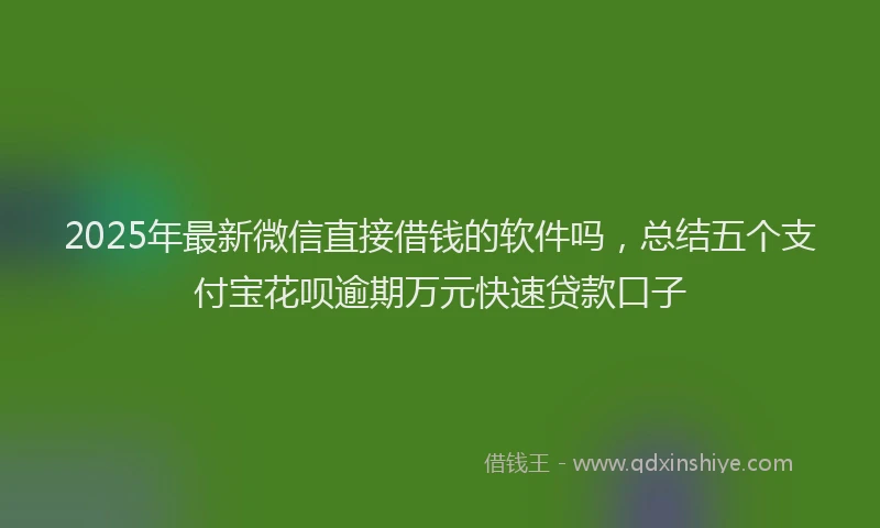 2025年最新微信直接借钱的软件吗，总结五个支付宝花呗逾期万元快速贷款口子