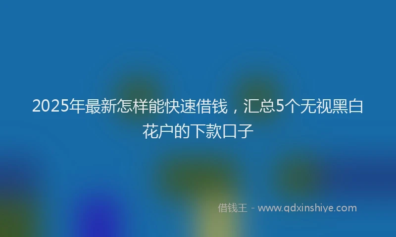 2025年最新怎样能快速借钱，汇总5个无视黑白花户的下款口子