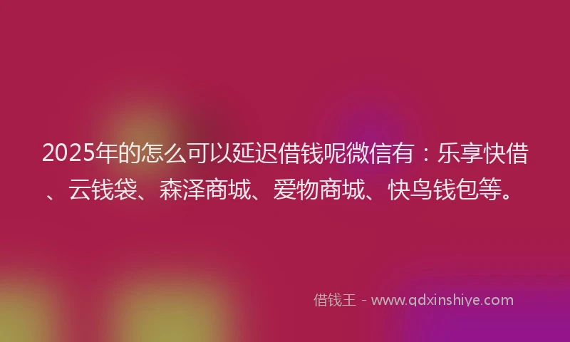 2025年的怎么可以延迟借钱呢微信有：乐享快借、云钱袋、森泽商城、爱物商城、快鸟钱包等。