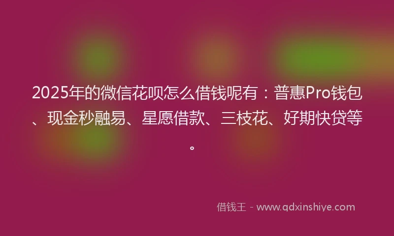 2025年的微信花呗怎么借钱呢有：普惠Pro钱包、现金秒融易、星愿借款、三枝花、好期快贷等。
