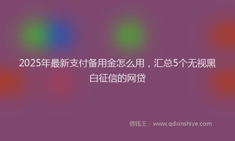 2025年最新支付备用金怎么用，汇总5个无视黑白征信的网贷