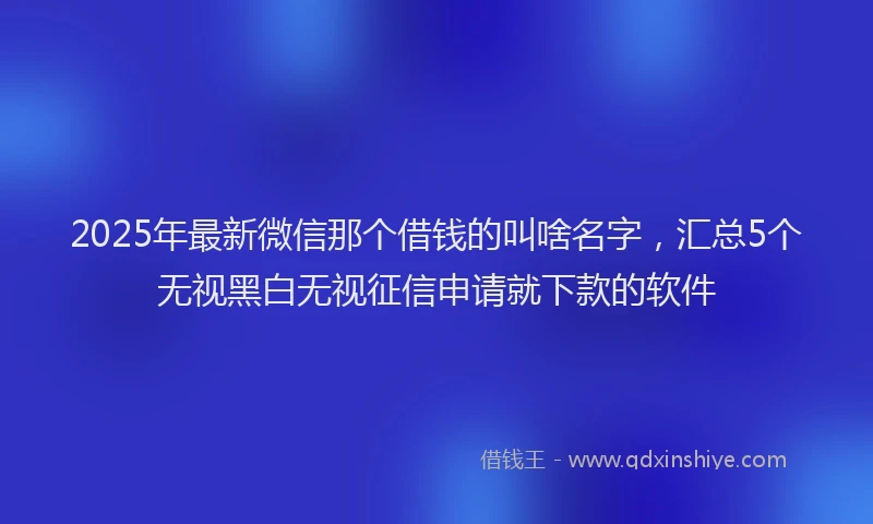 2025年最新微信那个借钱的叫啥名字，汇总5个无视黑白无视征信申请就下款的软件