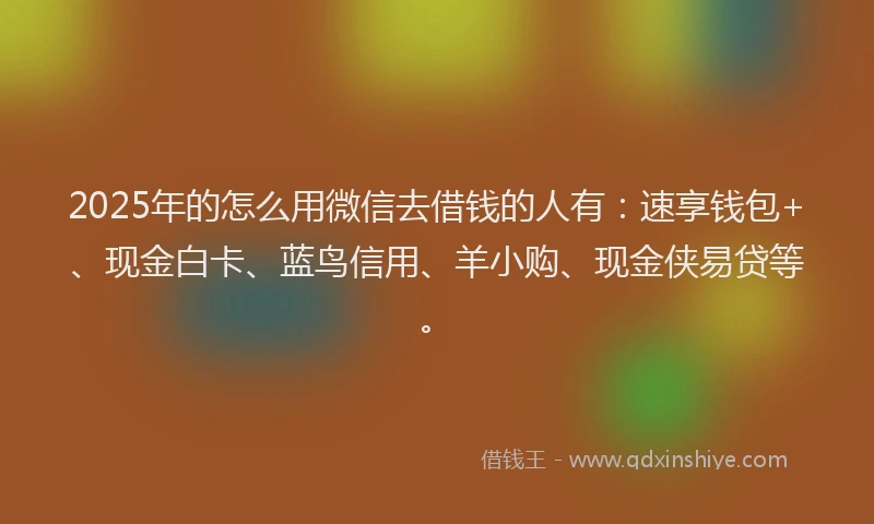 2025年的怎么用微信去借钱的人有：速享钱包+、现金白卡、蓝鸟信用、羊小购、现金侠易贷等。